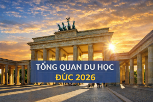 tong quan du hoc duc 2026